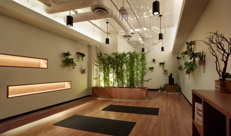 Biophilic Design Incorporating Greenery Into The Workplace